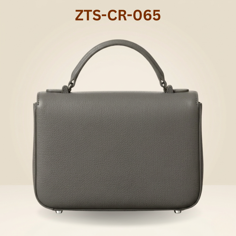 Handbag for ladies  Satchel Bag for WomenZTS-CR-056
